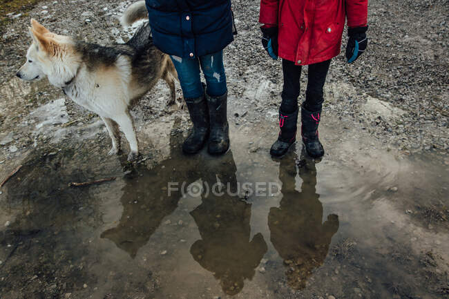 Filles réflexions debout dans la flaque d'eau avec chien de compagnie — Photo de stock