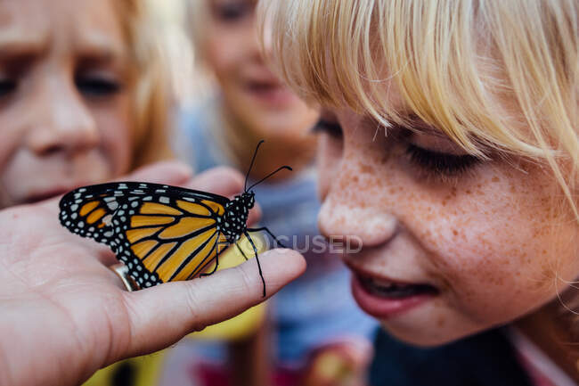 Young girl get up close look at monarch butterfly — Stock Photo