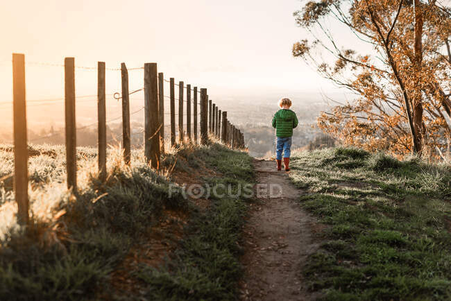 Вид сзади маленького мальчика, идущего по тропинке — стоковое фото