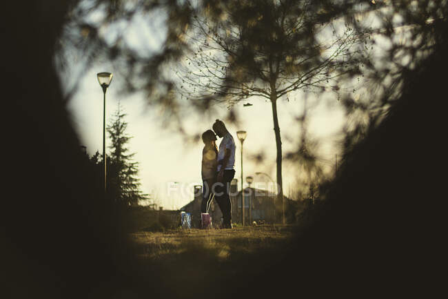 Casal olhando um para o outro entre as árvores — Fotografia de Stock