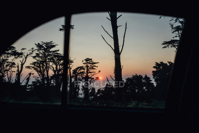 Vista del atardecer desde una ventana de coche, pinos y el sol sobre el mar - foto de stock