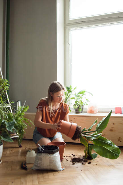 Woman takes plant of a pot, kneeling on floor with soil, garden tools. — Stock Photo