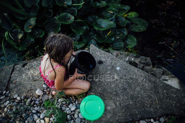 Little girl catching frogs at pond in summertime — Stock Photo