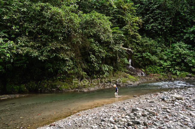 Дитина, що ходить по річці в вологому лісі Коста - Рики. — стокове фото