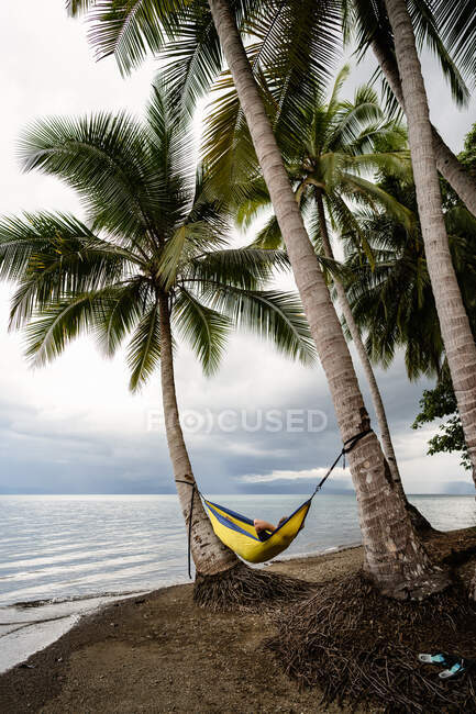 Homem relaxante em rede sob palmeiras na Costa Rica — Fotografia de Stock