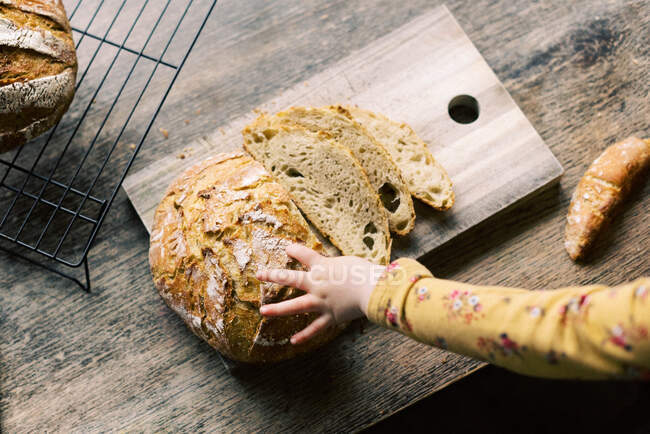 Un niño agarrando pan de masa fermentada recién horneado y casero. - foto de stock
