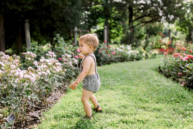 Menino de criança olhando para flores coloridas fora no jardim — Fotografia de Stock