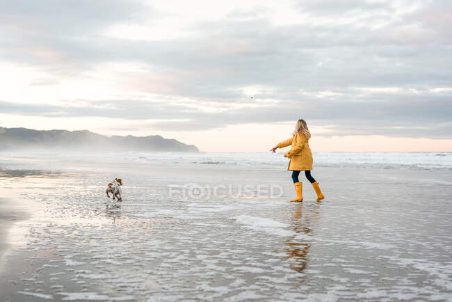 Preteen menina brincando com o cão na praia na Nova Zelândia — Fotografia de Stock