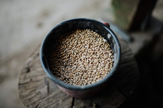 Grain flax in the old plate. — Stock Photo