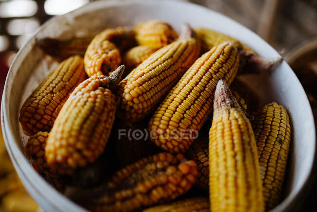 Close-up de uma espiga de milho em caçarola — Fotografia de Stock