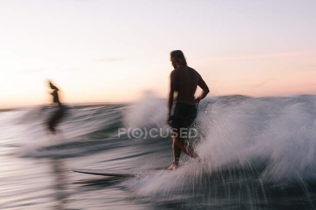 Deux amis surfant sur des longboards au coucher du soleil en été — Photo de stock