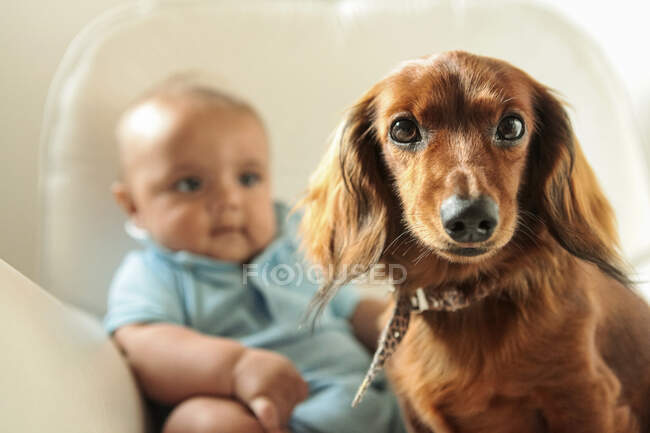 Малий хлопчик і милий пес у спальні. — стокове фото