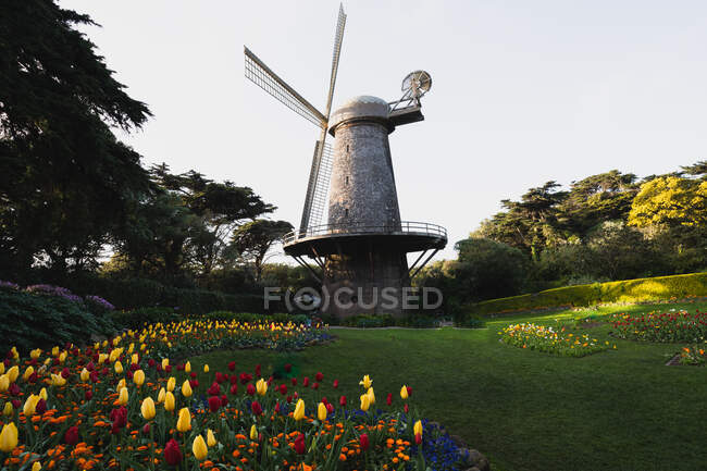 Windmill in fall season full of flowers — Stock Photo