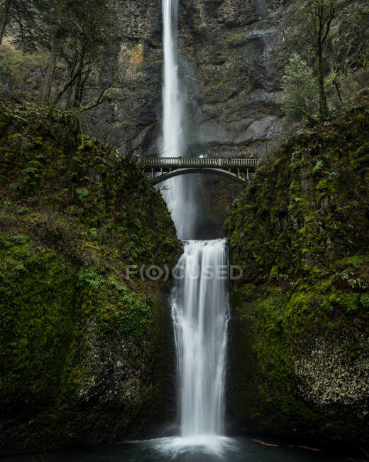 La vista de la cascada en el bosque - foto de stock