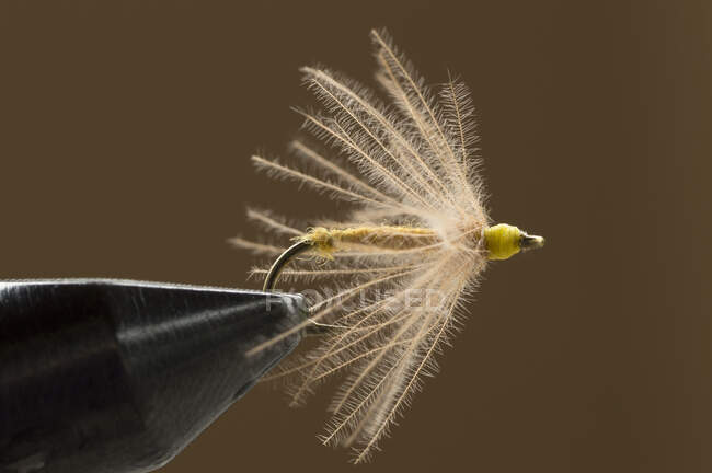Dry fly on a clamp — Stock Photo