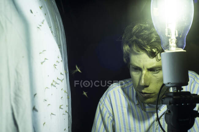 Catching insects at night for research — Stock Photo
