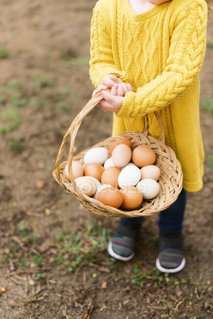 Kleines Mädchen hält einen Korb mit frischen Eiern vom Bauernhof. — Stockfoto