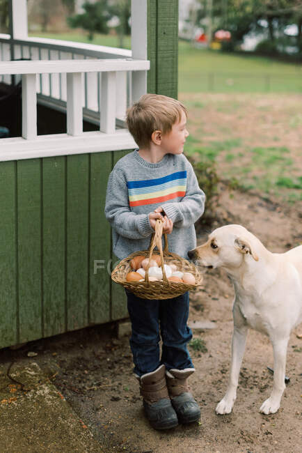 Petit garçon tenant un panier d'œufs frais de ferme et son chien curieux. — Photo de stock