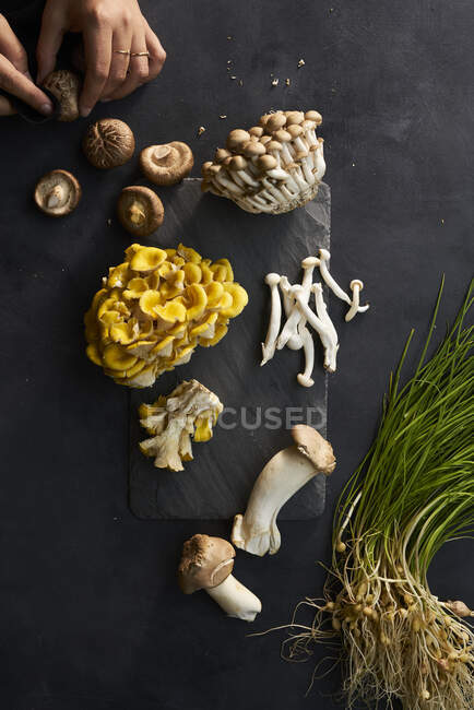 Sortimento de cogumelos crus frescos na superfície de ardósia preta — Fotografia de Stock