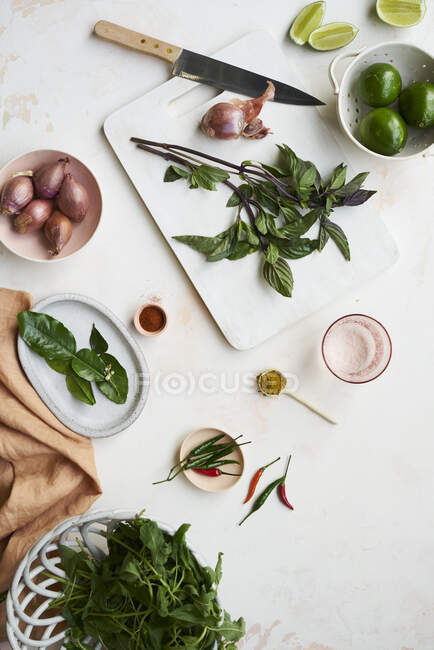 Thaï épices ingrédients magnifiquement coiffé sur une planche — Photo de stock