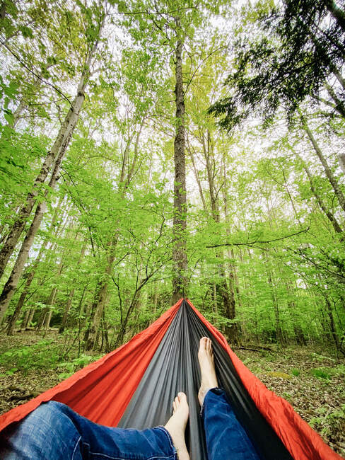 ПОВ ніг в гамаку в лісі, оточеному деревами під час кемпінгу — стокове фото