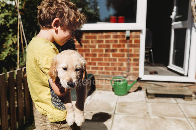 Boy holding golden retriever labrador puppy in yard — Stock Photo