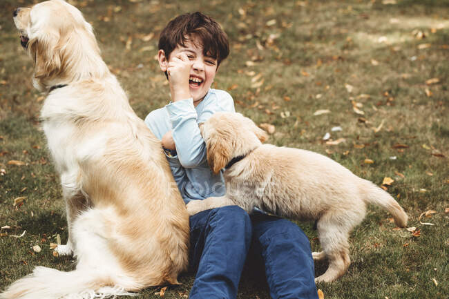 Bambino che gioca con cane e cucciolo labrador golden retriever fuori — Foto stock