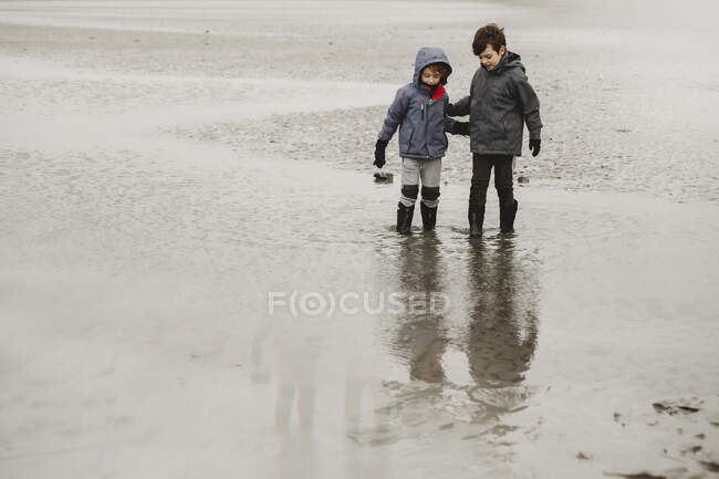Two boys paddling at the beach on cold day — Stock Photo