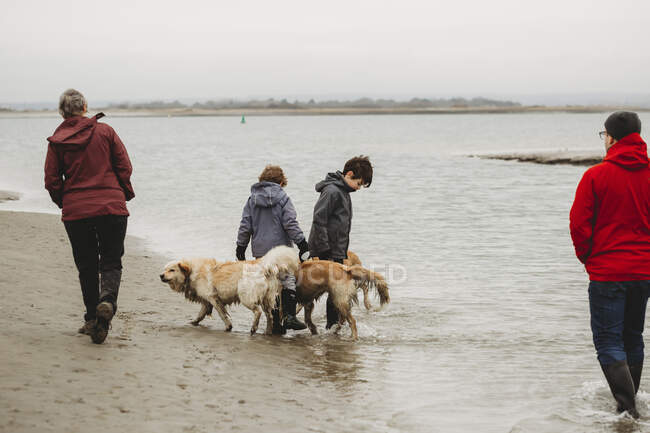 Family walking dogs along shoreline — Stock Photo