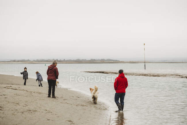 Familie spaziert mit Hunden entlang der Küste — Stockfoto