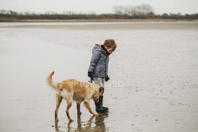 Милый мальчик и золотистый лабрадор лабрадор на пляже — стоковое фото