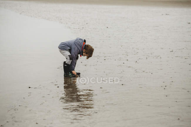 Visão de comprimento total do menino bonito na praia examinando uma pedra — Fotografia de Stock