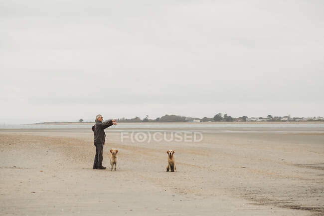 Elderly couple with two dogs on beach pointing off camera — Stock Photo