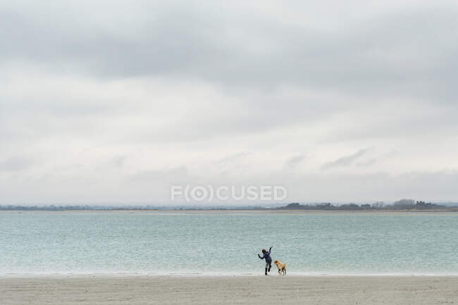 Мальчик бросает камешки в море с собакой на пляже — стоковое фото