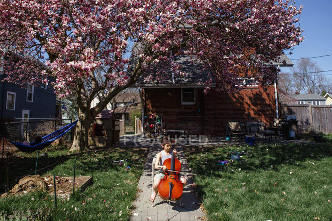 Un niño se sienta bajo el árbol de magnolia floreciente en el patio trasero tocando el violonchelo - foto de stock