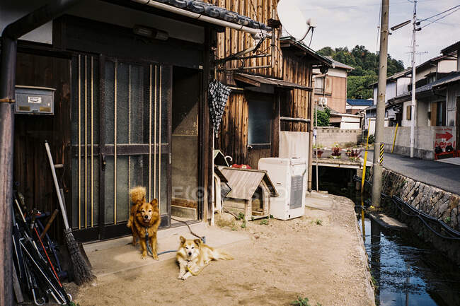 Un'isola di Naoshima Quartiere Giappone — Foto stock