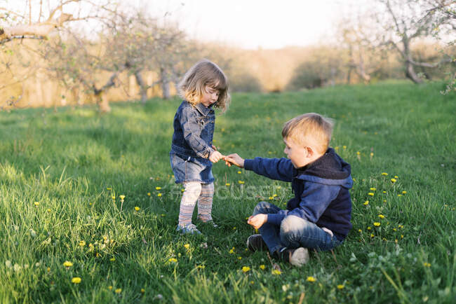 Due bambini in passeggiata in un frutteto. — Foto stock