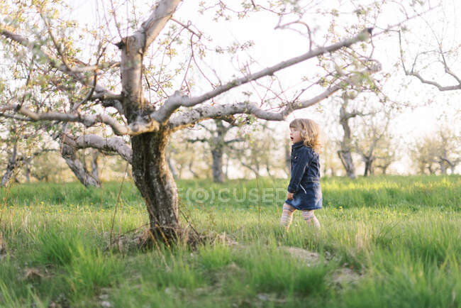 Kleines Mädchen auf einem Spaziergang in einem Obstgarten. — Stockfoto