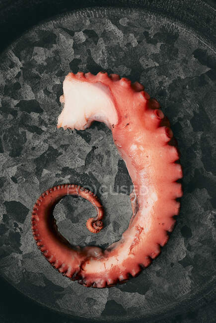 A piece of a boiled octopus — Stock Photo