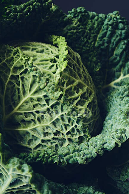 Still life, a fresh round green savoy cabbage — Stock Photo