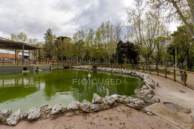 Parco principale Salamanca senza persone e senza auto durante la quara — Foto stock