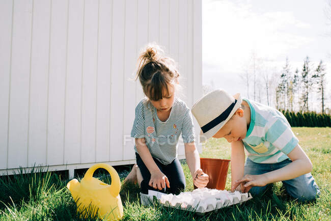Brother and sister planting seeds together in egg shells in the garden — Stock Photo