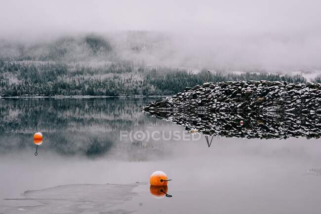 Schnee bedeckte Felsen, See und Wald mit Bojen im Wasser — Stockfoto