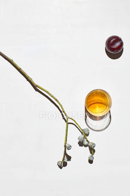 Glass of wine and plum on white background — Stock Photo
