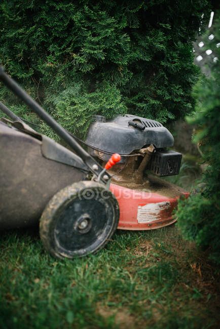 Plan rapproché d'une tondeuse à gazon dans un jardin en arrière-plan, gros plan — Photo de stock
