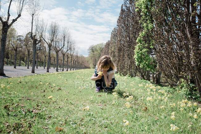 Девушка собирает цветы на пустой дорожке летом в солнечный день — стоковое фото