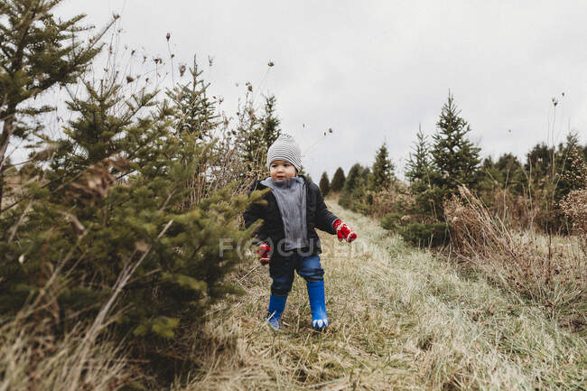 Enfant garçon sur la chasse aux arbres de Noël dans la ferme de l'arbre — Photo de stock