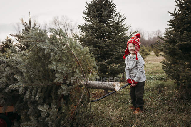 Junge zieht Weihnachtsbaum auf Planwagen bei Baumhof — Stockfoto