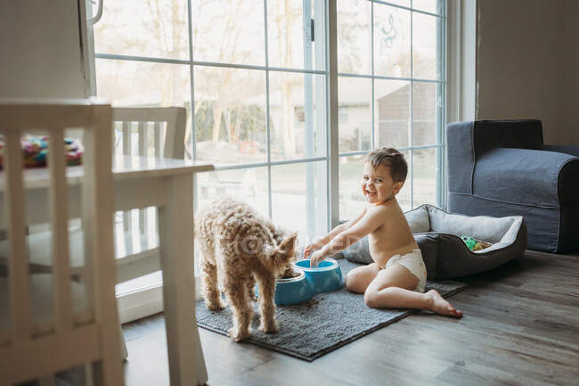 Kleinkind in Windel spielt im Wohnzimmer mit Wasserschale des Hundes — Stockfoto