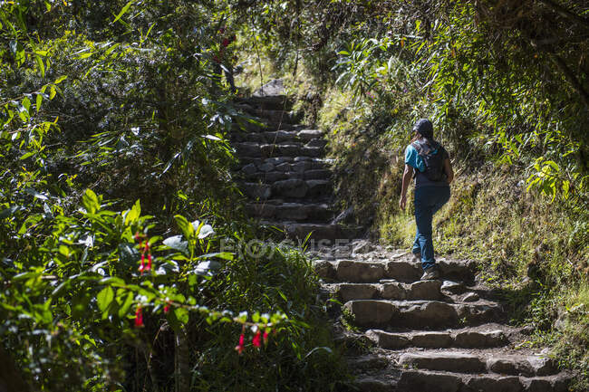 Femme remontant l'escalier sur le sentier Inca près du Machu Picchu — Photo de stock